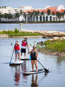 Paddleboard Rentals & Tours