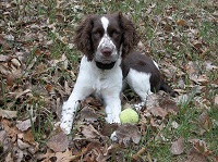 My daisie girl My daisie girl