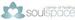 What is Soul Coaching?