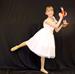 The Incredible Nutcracker