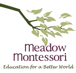 Meadow Montessori School
