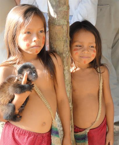 Along the Amazon River Along the Amazon River