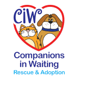Companions In Waiting Rescue & Adoption Companions In Waiting Rescue & Adoption