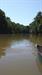 Duck River Clean Up