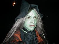 Stereotypical Witch -  from exhibit "WItches:Evolving Perceptions"