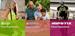 Weight Management with Zija Nutritionals and Ameo Essential Oils