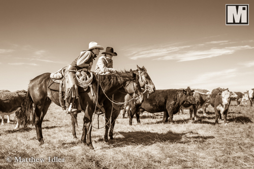 Cowboy Photography