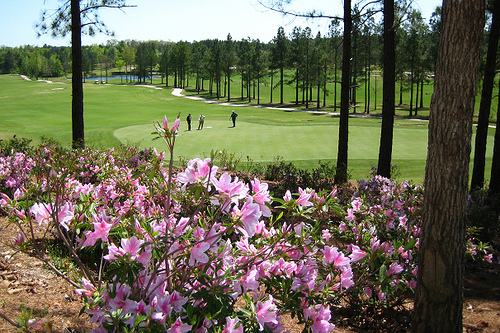 Isabella Golf Course in Hot Springs Village