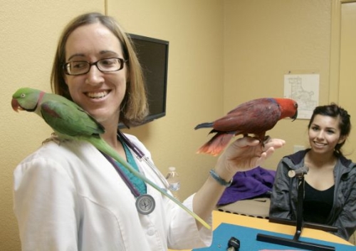 Dogs and cats aren't the only patients we see!  Dr. Weston offers her expertise to birds, reptiles and other exotic pets.