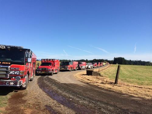 Chain of Apparatus on Grass Fire