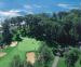 Weekly Golf Tournament