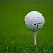 Annual Golf Tournament