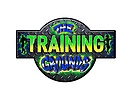 The Training Grounds Fitness