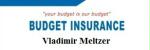 Budget Insurance - Vladimir Meltzer