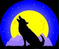 Wolf Moon Kennel and Dogsled Rides