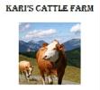 Kari's Cattle Farm