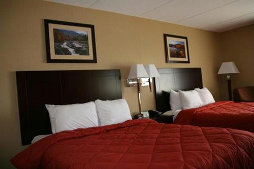 Our rooms are standard 2 queen beds and 1 king bed