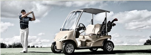 Cart Mart, San Marcos, CA, Golfer with Golf Cart. Golf Carts, Utitility Vehicles, p10
