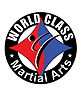WORLD CLASS MARTIAL ARTS