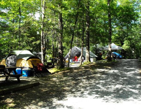 Linville Falls Campground Rv Park Cabins Accommodations