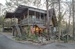Bear Creek Motel & Cabins