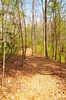 Laurel Ridge Trail at Smithgall Woods State Park
