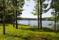 Gallery Image cranepoint2.jpg