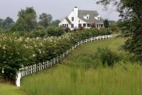 Gallery Image lingle4.jpg