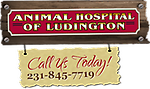 Animal Hospital of Ludington, PC Animal Hospital of Ludington, PC