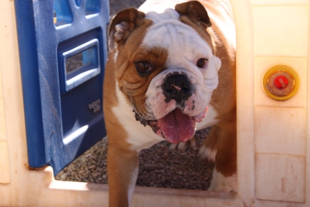 Gallery Image IMG_0254_300412-111015.JPG