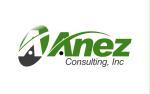Anez Consulting, Inc.