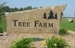 The Tree Farm