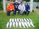 Tower Rock Slammin Salmon Tower Rock Slammin Salmon