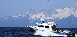 Cook Inlet halibut fishing has short boat ride to fishing grounds Cook Inlet halibut fishing has short boat ride to fishing grounds