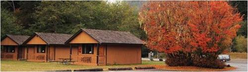 Sol Duc Cabins in Fall