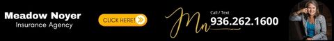 Meadow Noyer Agency - Allstate
