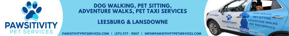 Pawsitivity Pet Services