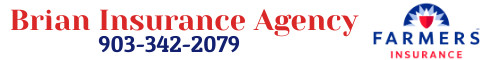 Brian Insurance Agency