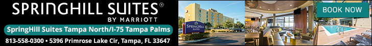 Springhill Suites by Marriott Tampa North