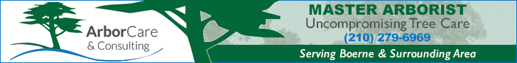 ArborCare and Consulting 