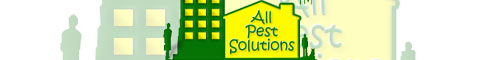 All Pest Solutions