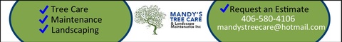 Mandy's Tree Care & Landscape Maintenance