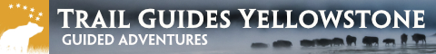 Trail Guides Yellowstone