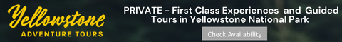 Yellowstone Adventure Tours