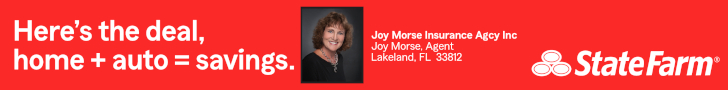 Joy Morse Insurance Agency, Inc/State Farm