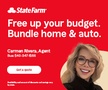 Carmen Rivera State Farm Insurance