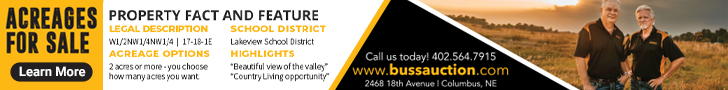Buss Realty and Auction LLC