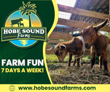 Hobe Sound Farmers Market