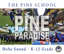 The Pine School