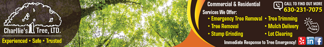 Charlie's Tree Service